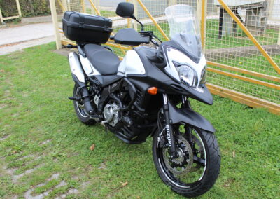 Suzuki DL650